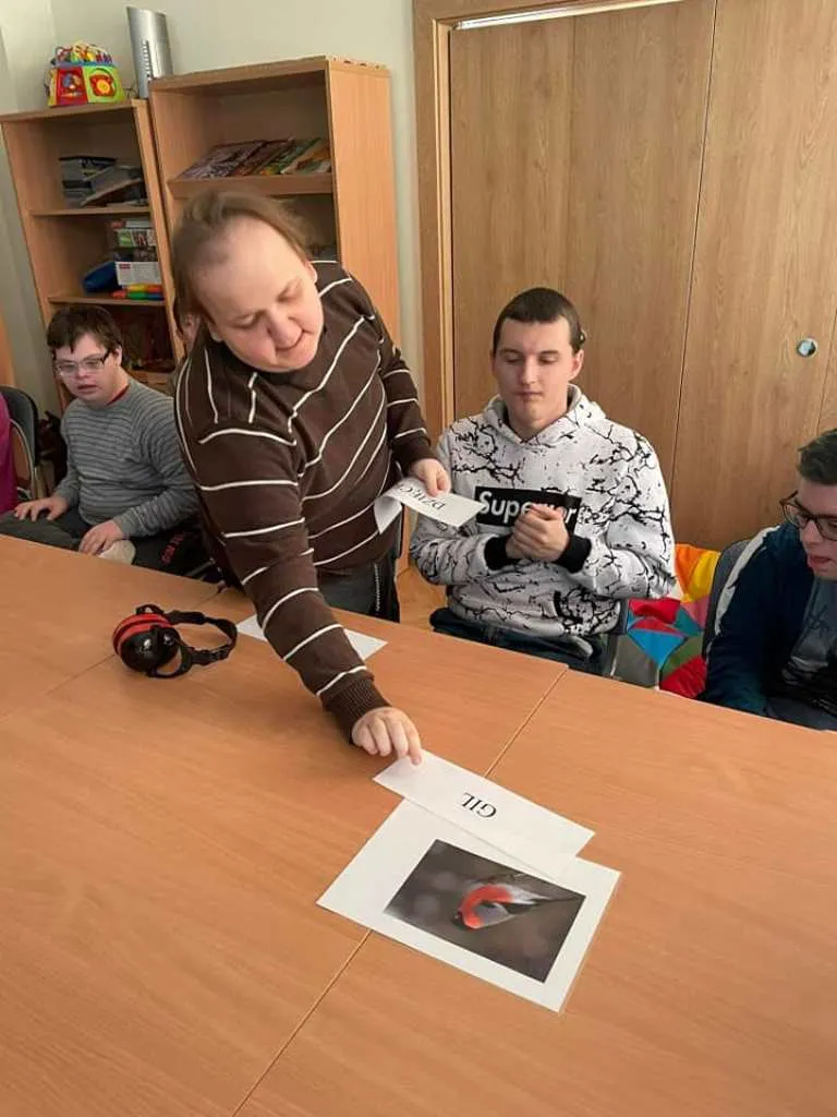 Dokarmiamy ptaki zimą