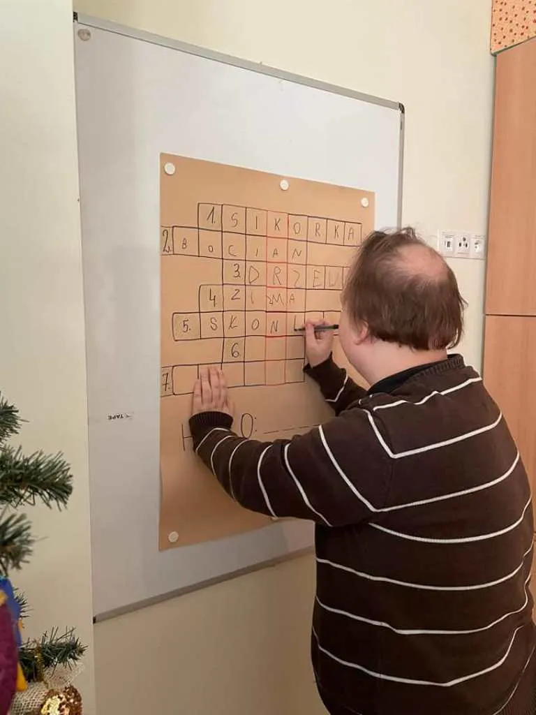 Dokarmiamy ptaki zimą