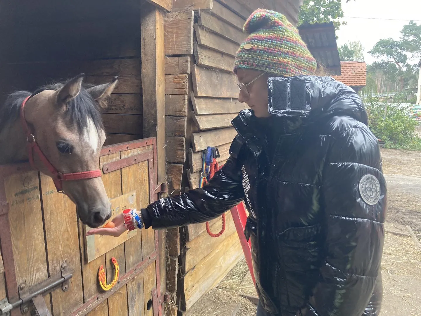 Wizyta w stajni Jackowo