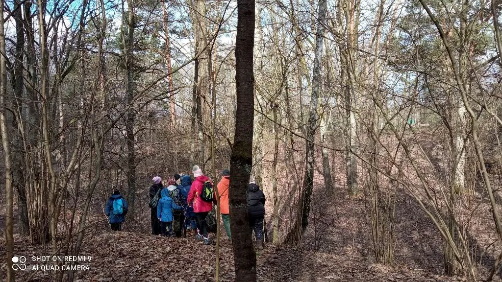 TAJEMNICE LASU KABACKIEGO