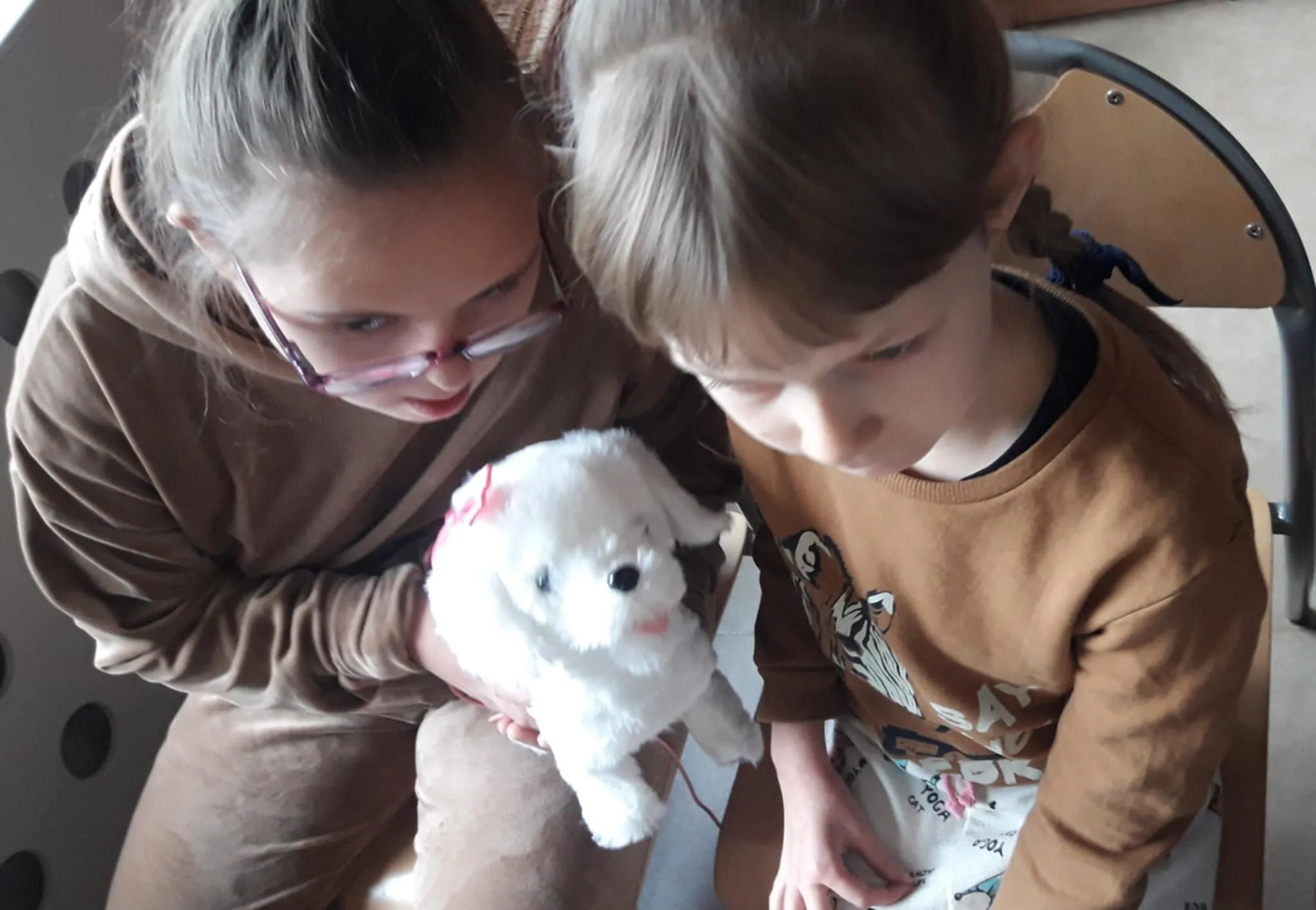 Ogólnopolski program “Psia lekcja”