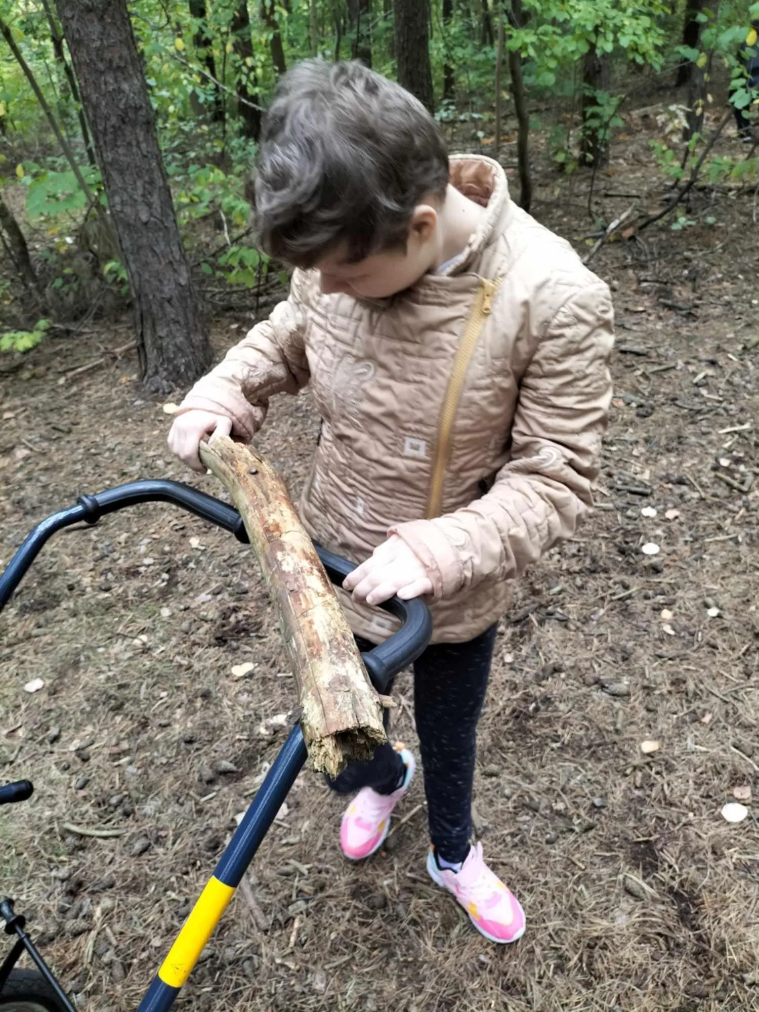 Światowy Dzień Drzewa