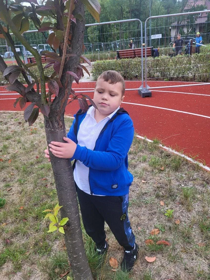 Przytul się do drzewa