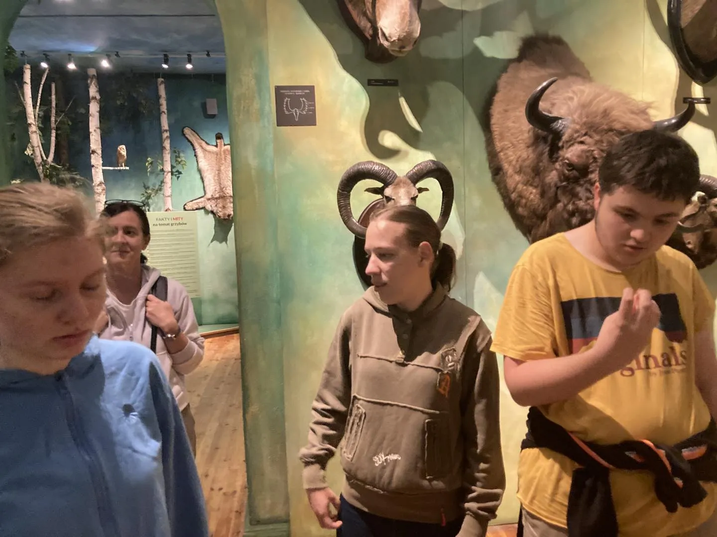 Lekcja “Przygoda z Grzybami”