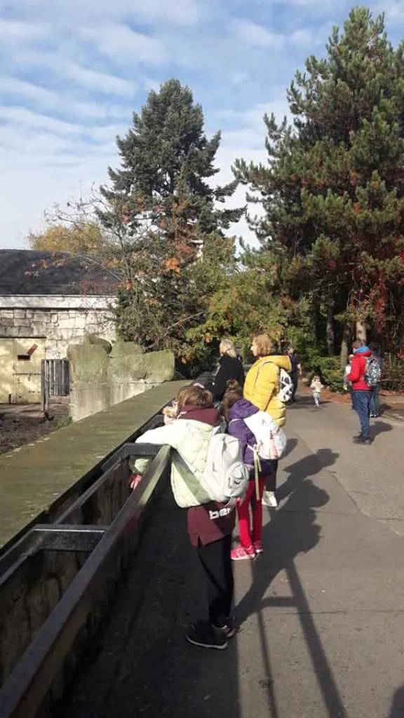 Wizyta w ogrodzie zoologicznym