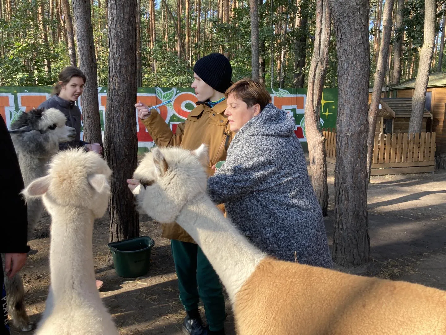 Spotkanie z alpakami