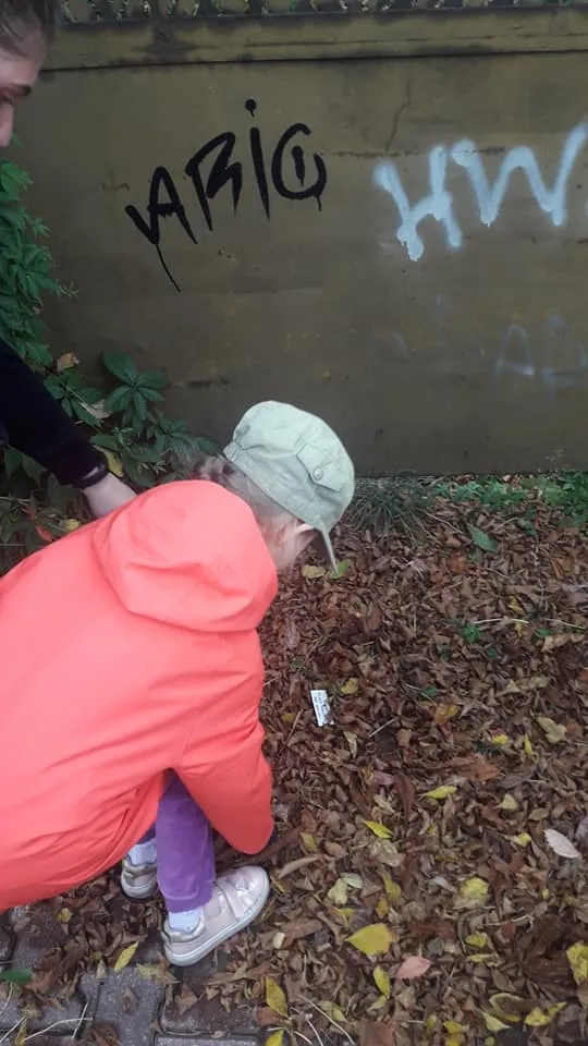 Sprzątamy dla Polski