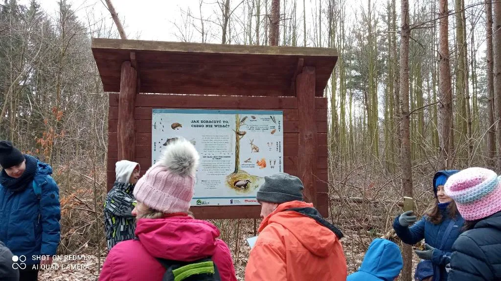 TAJEMNICE LASU KABACKIEGO