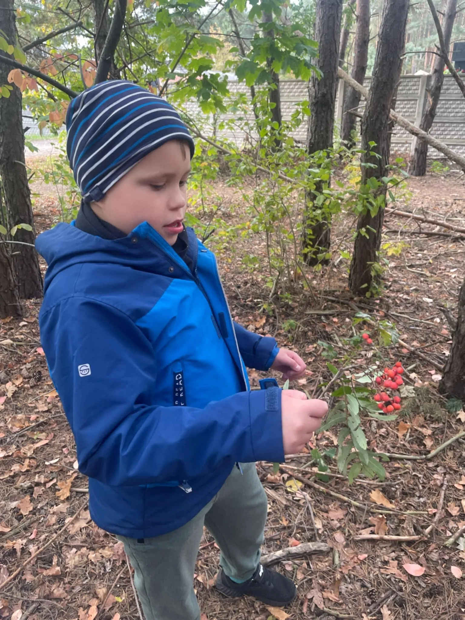 Światowy Dzień Drzewa