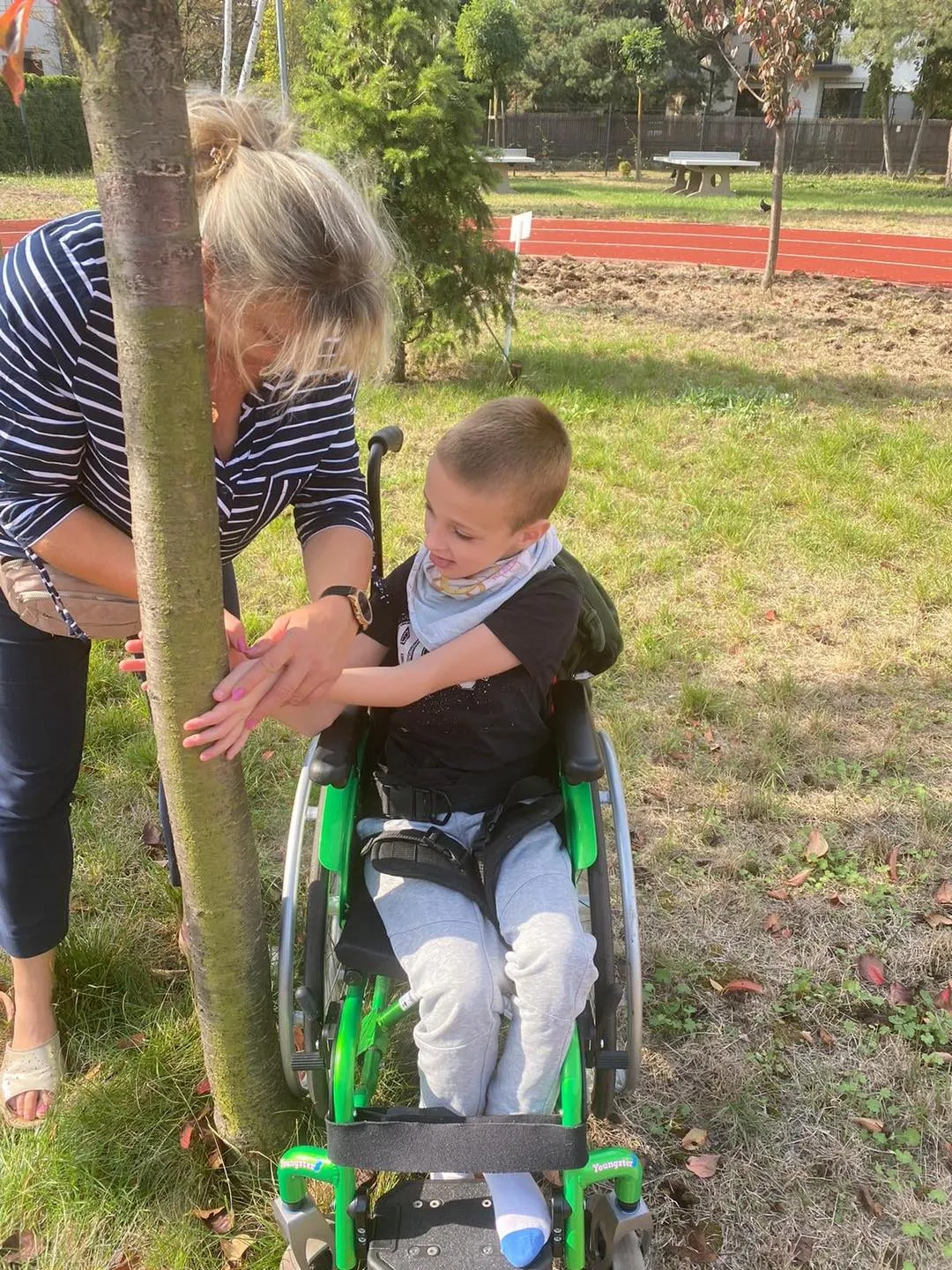 Przytul się do drzewa