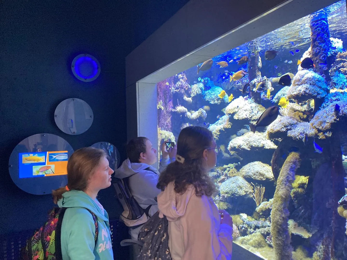 Wycieczka do ogrodu zoologicznego