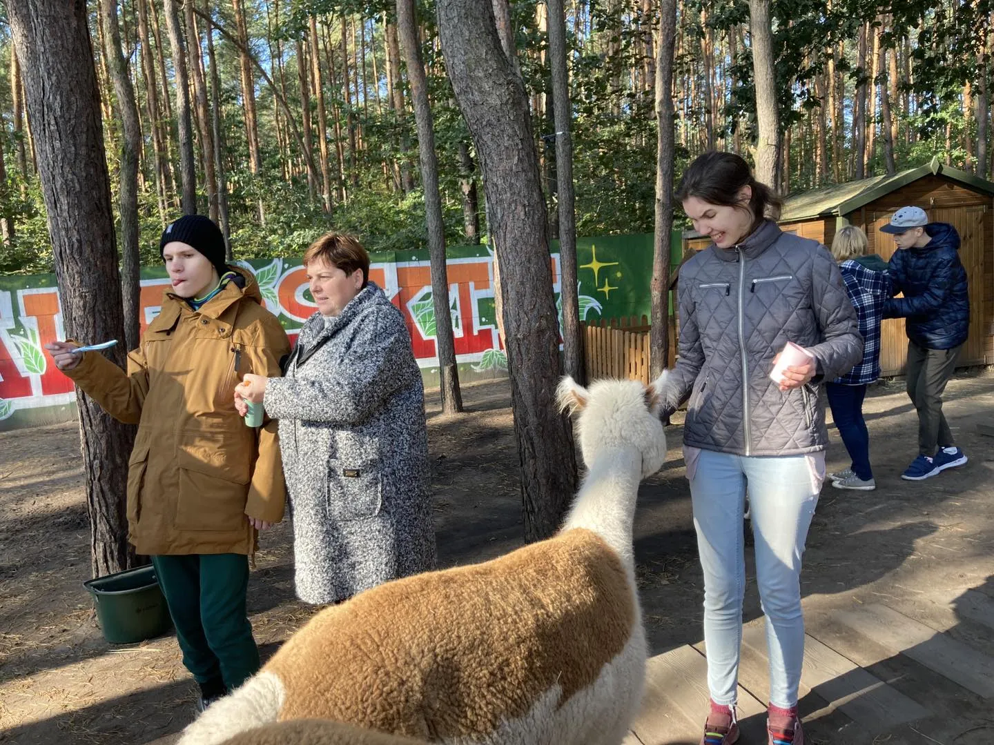 Spotkanie z alpakami