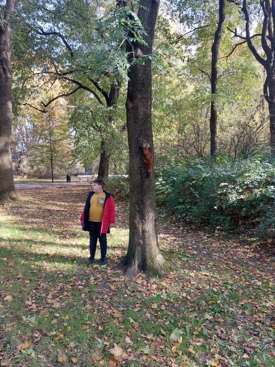 Polska Złota Jasień w Parku Skaryszewskim