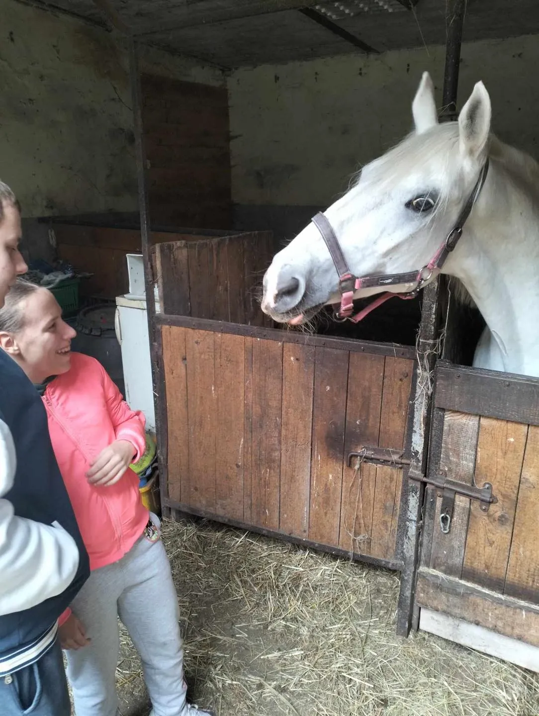 Wizyta w stajni Jackowo