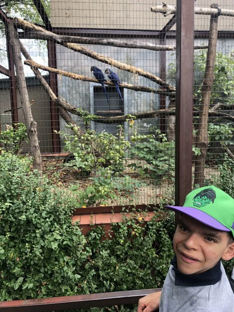 Wycieczka do ogrodu zoologicznego