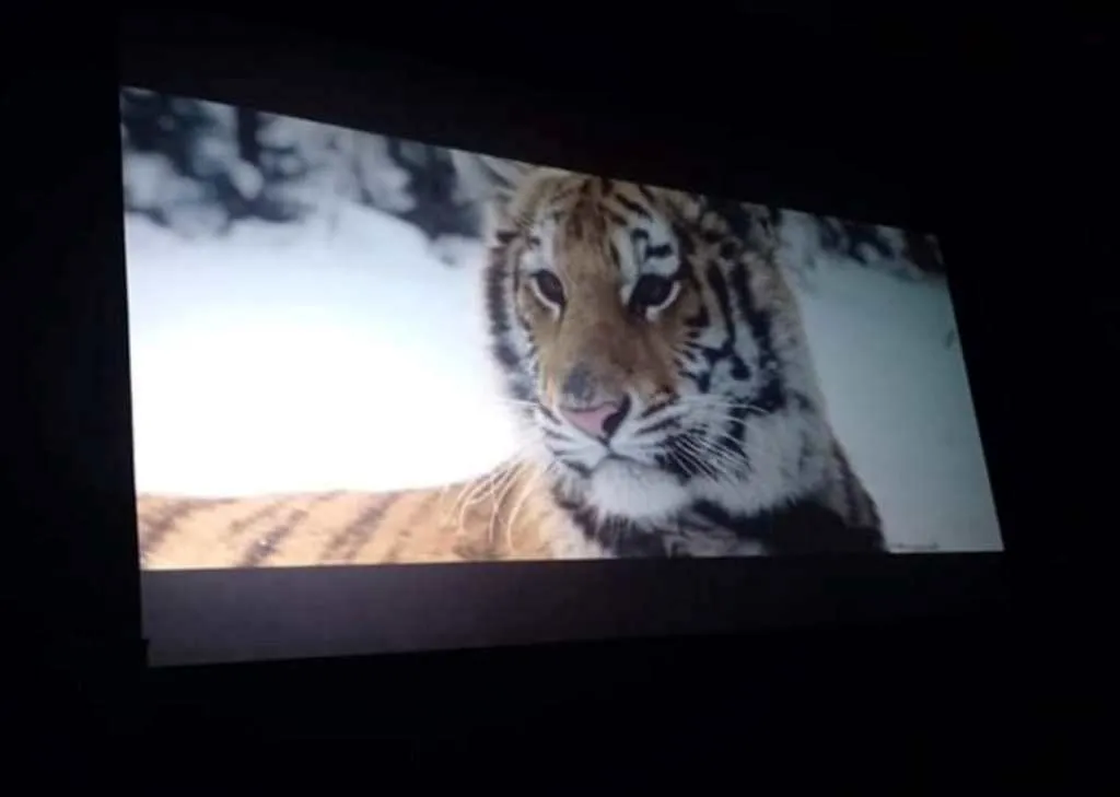 Zima w Mieście: “Dzień Rekreacji i Odpoczynku”