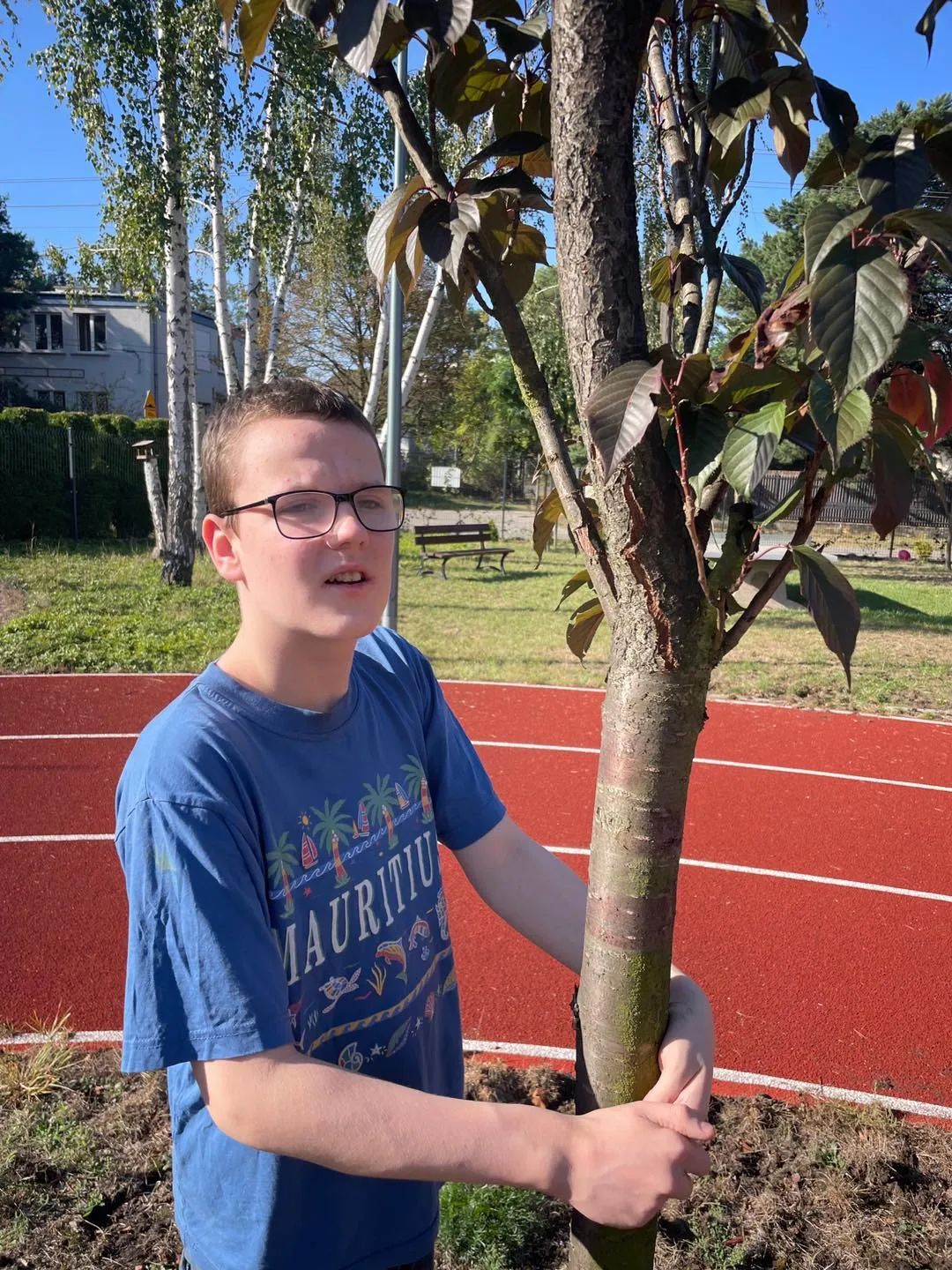 Przytul się do drzewa