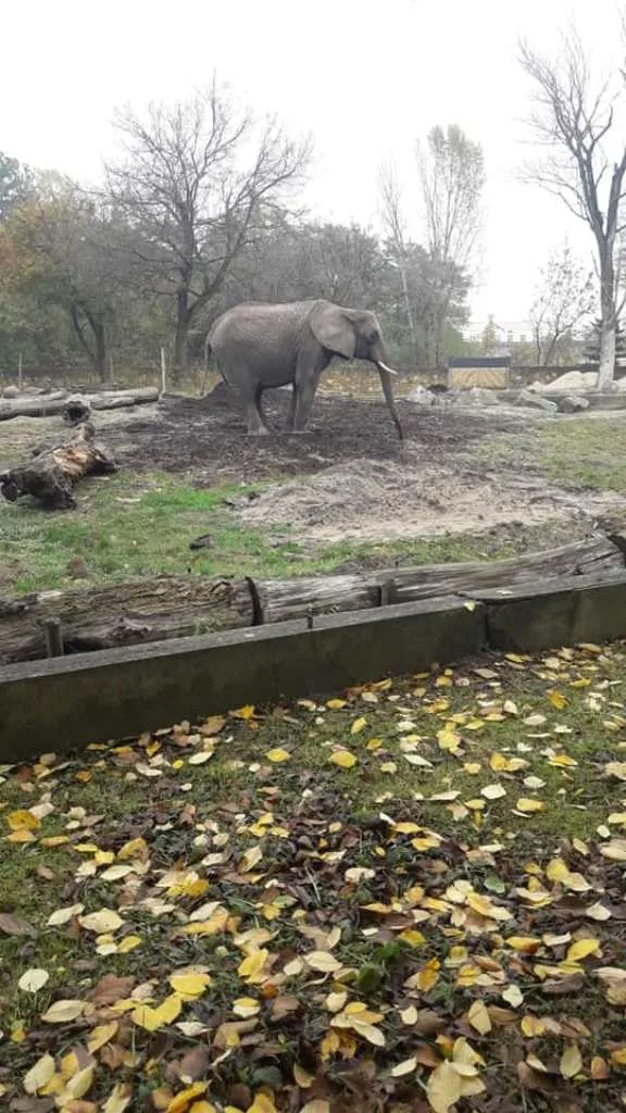 Wizyta w ogrodzie zoologicznym