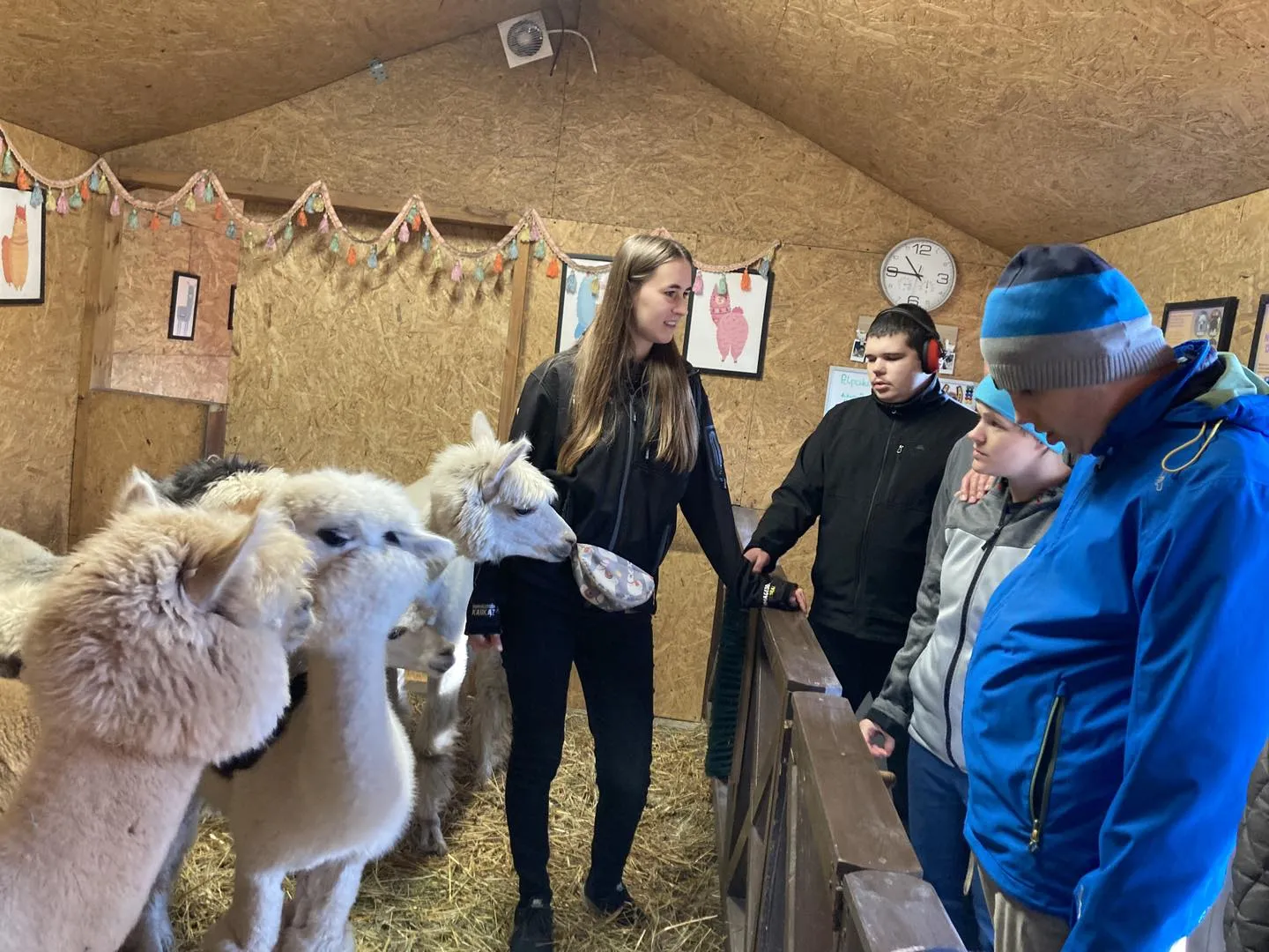 Spotkanie z alpakami