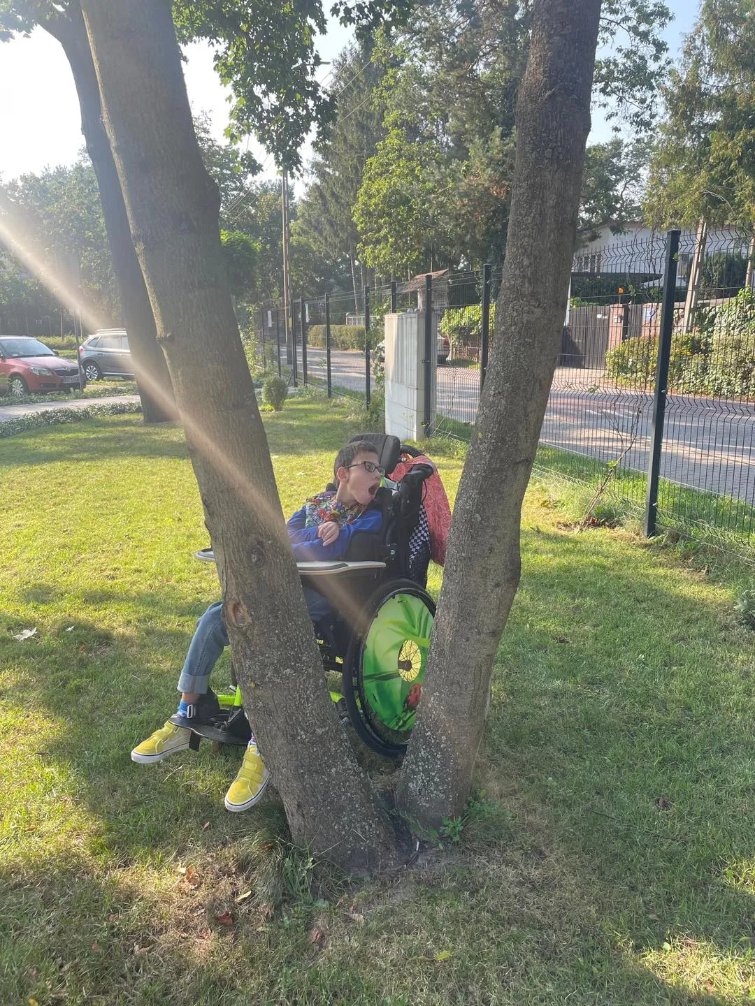 Przytul się do drzewa