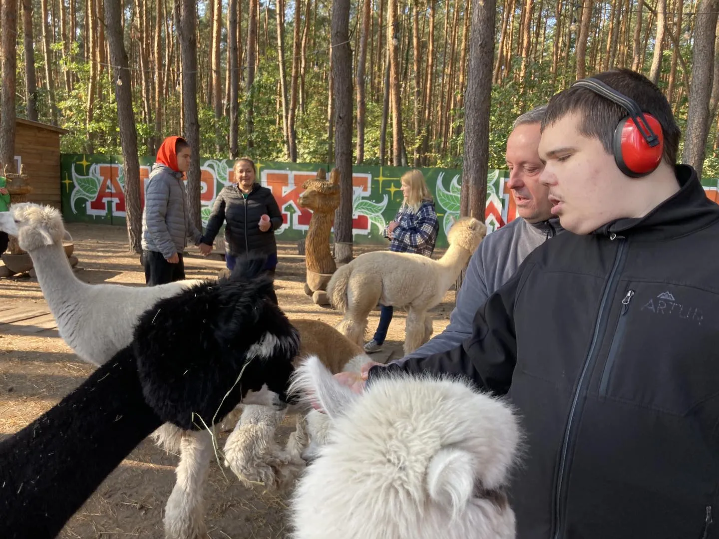 Spotkanie z alpakami