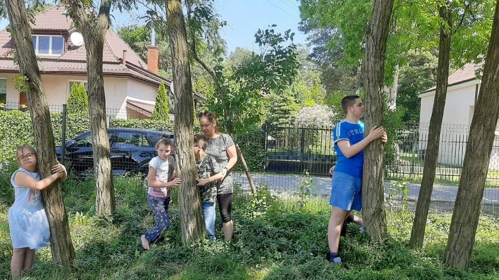 Akcja “Przytul się do drzewa” – kontynuacja