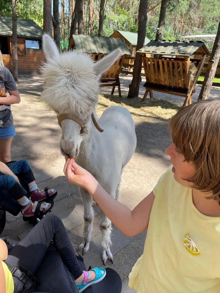 LATO W MIEŚCIE “ŚWIAT NATURĄ MALOWANY” – II DZIEŃ