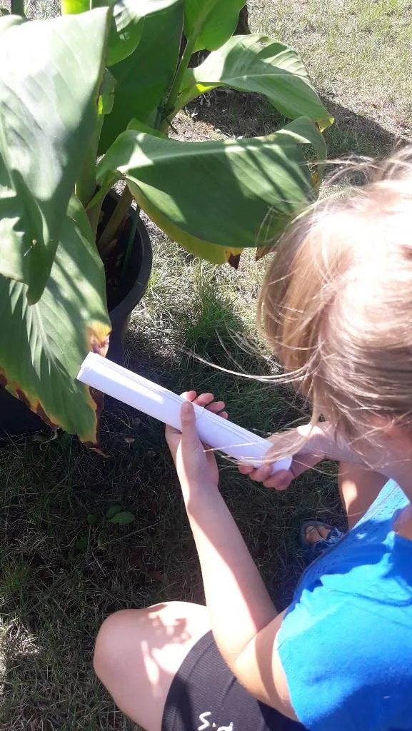 LATO W MIEŚCIE II – I DZIEŃ