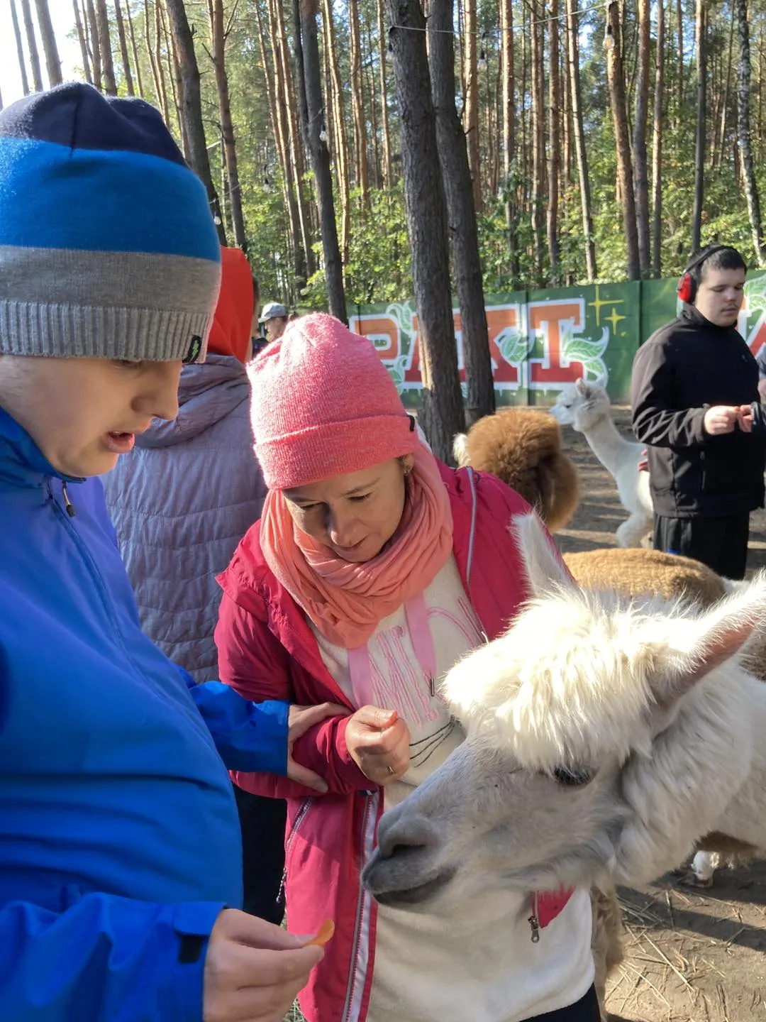 Spotkanie z alpakami