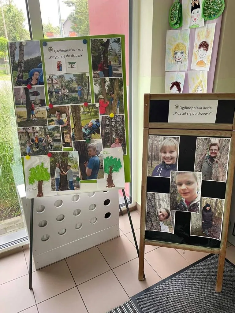 Akcja “Przytul się do drzewa” – kontynuacja