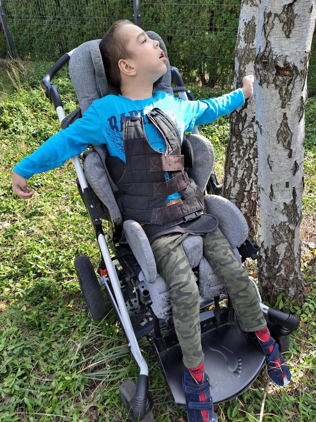 Przytul się do drzewa