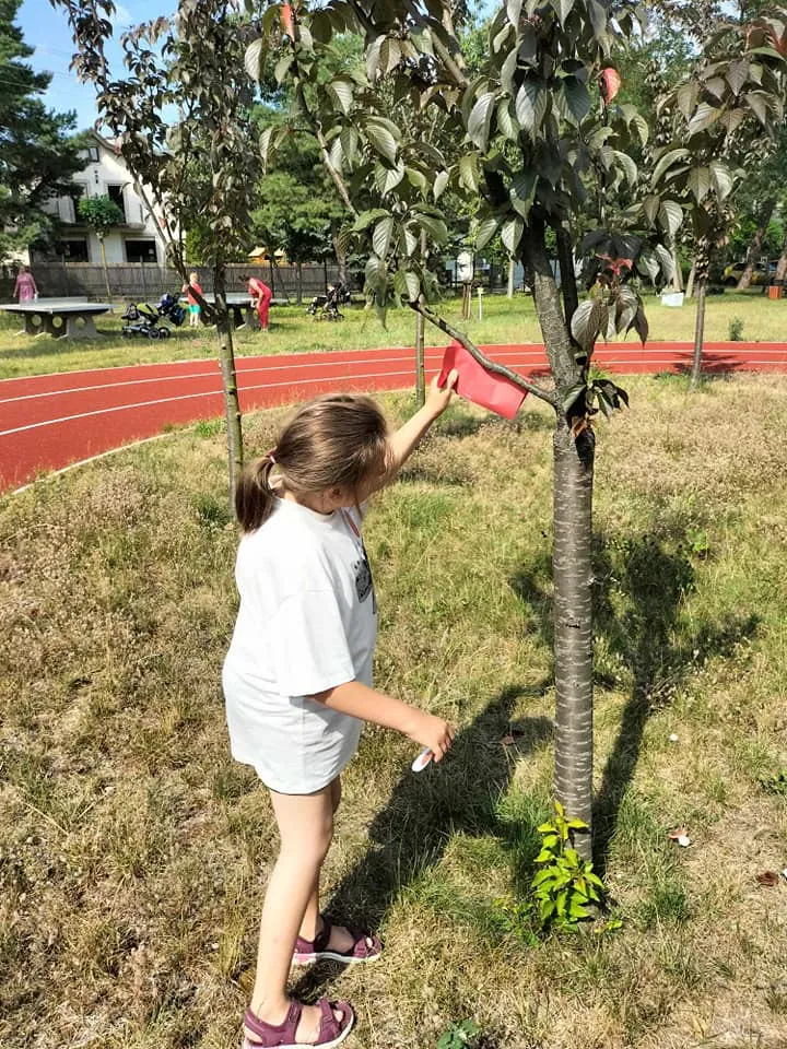 LATO W MIEŚCIE “ŚWIAT NATURĄ MALOWANY” – IV DZIEŃ