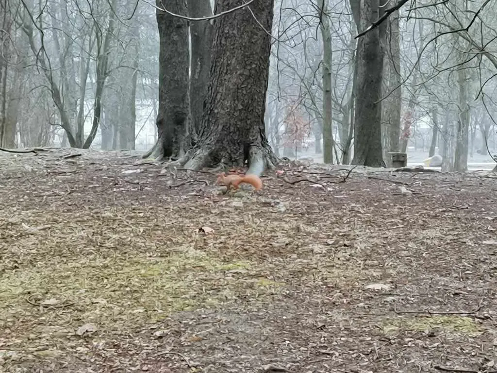 Weekendowy relaks – Warszawski Central Park