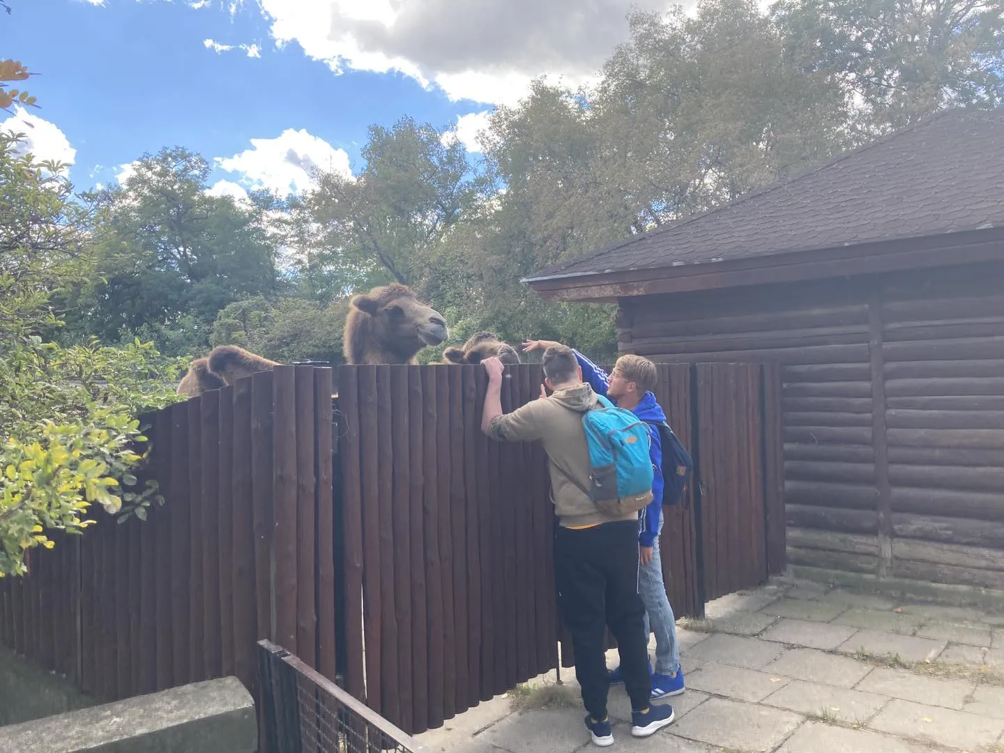 Wycieczka do ogrodu zoologicznego