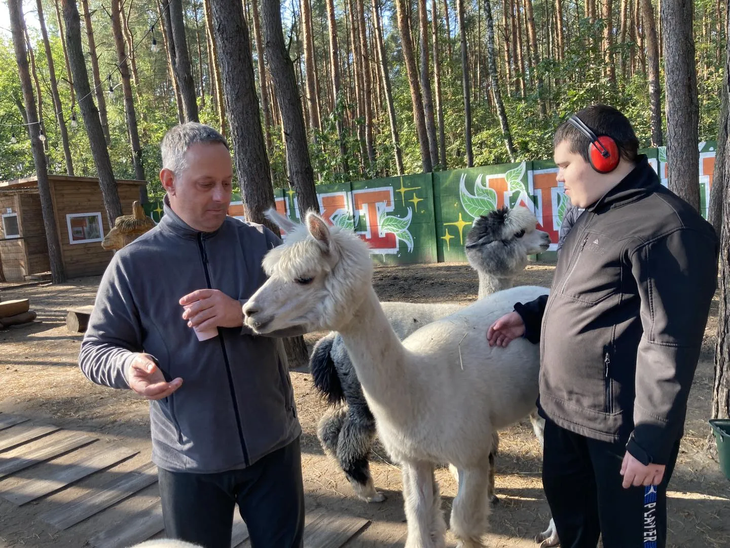 Spotkanie z alpakami