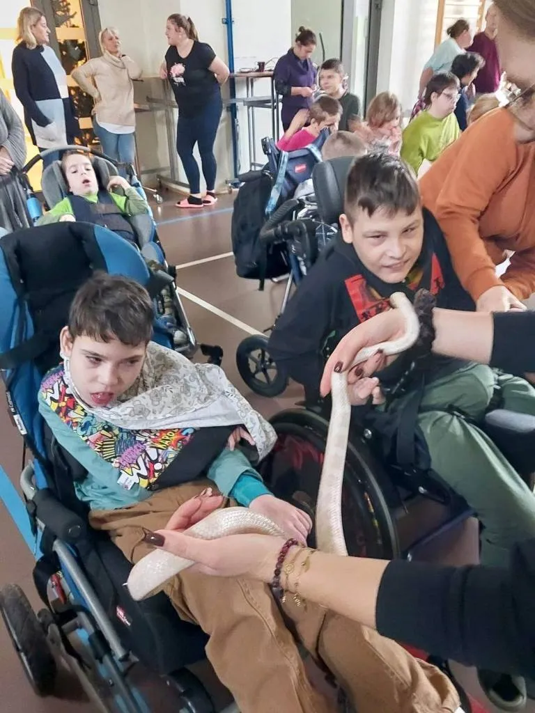 Egzotyczne zwierzęta