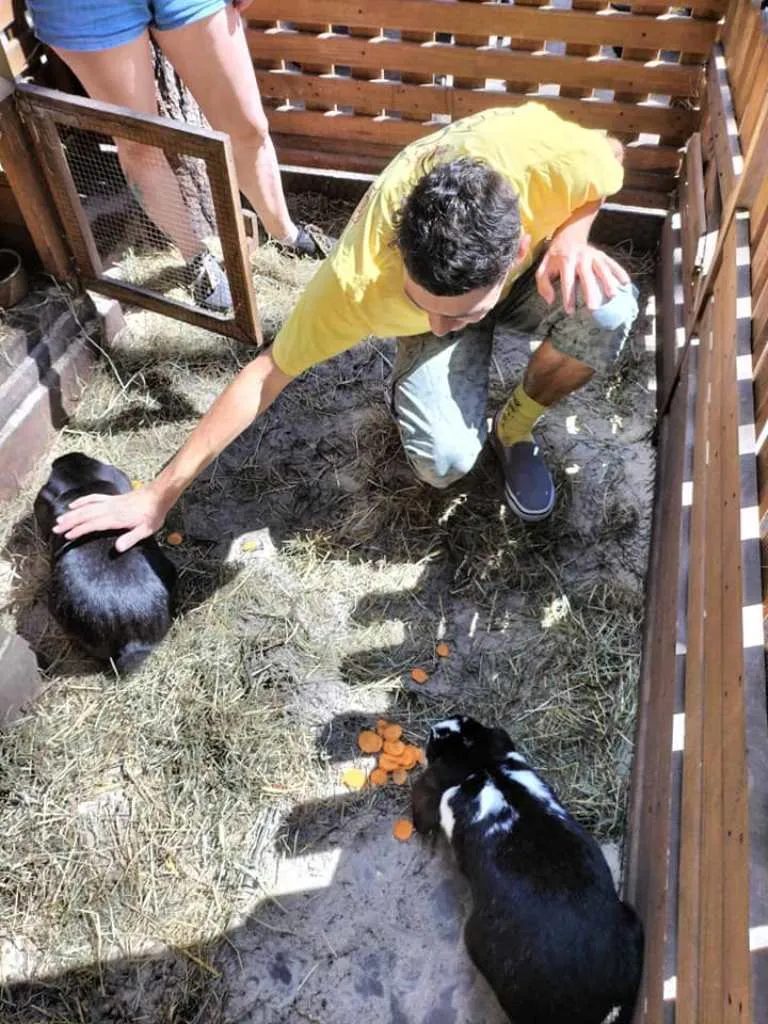 LATO W MIEŚCIE “ŚWIAT NATURĄ MALOWANY” – II DZIEŃ