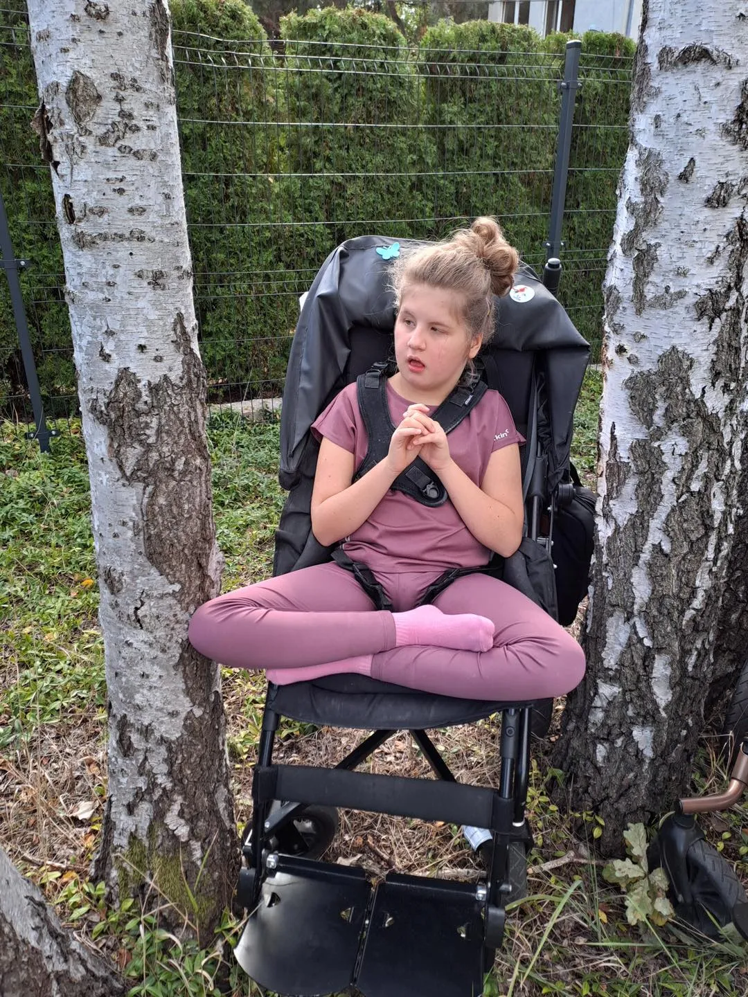 Przytul się do drzewa