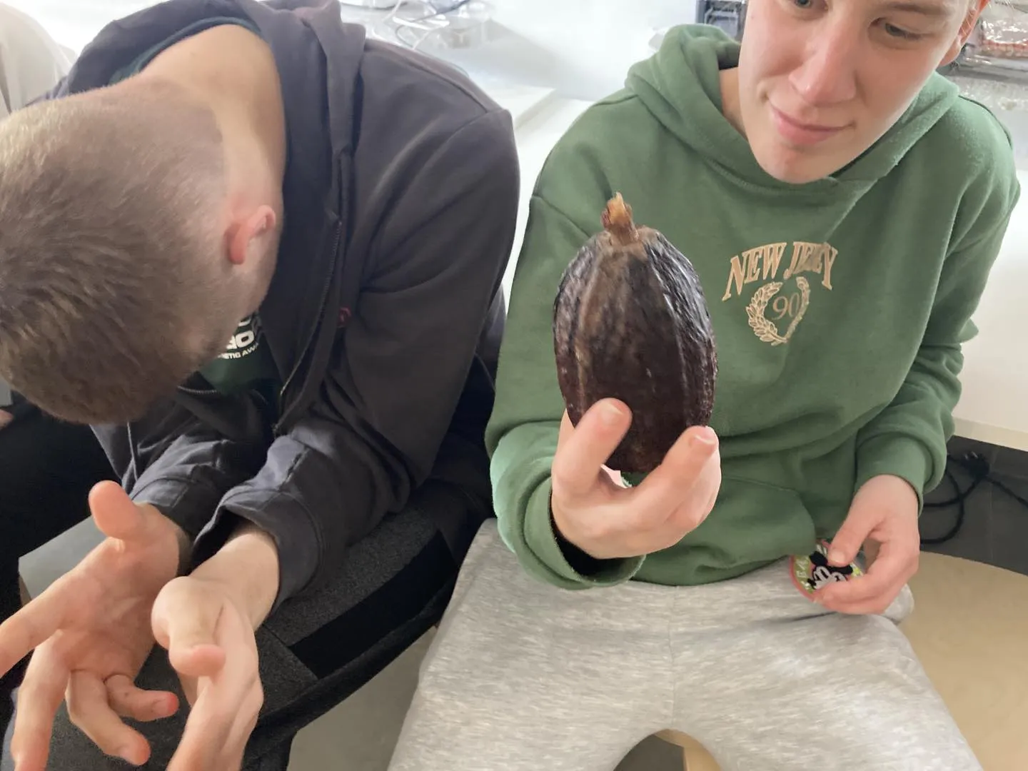 Warsztaty robienia czekolady