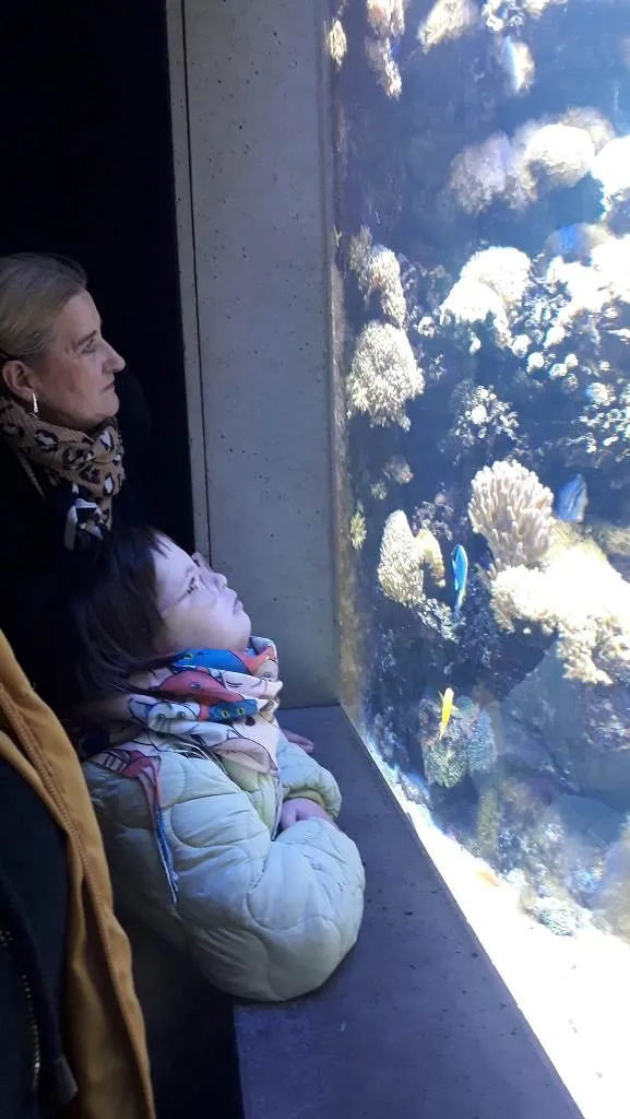 Wizyta w ogrodzie zoologicznym