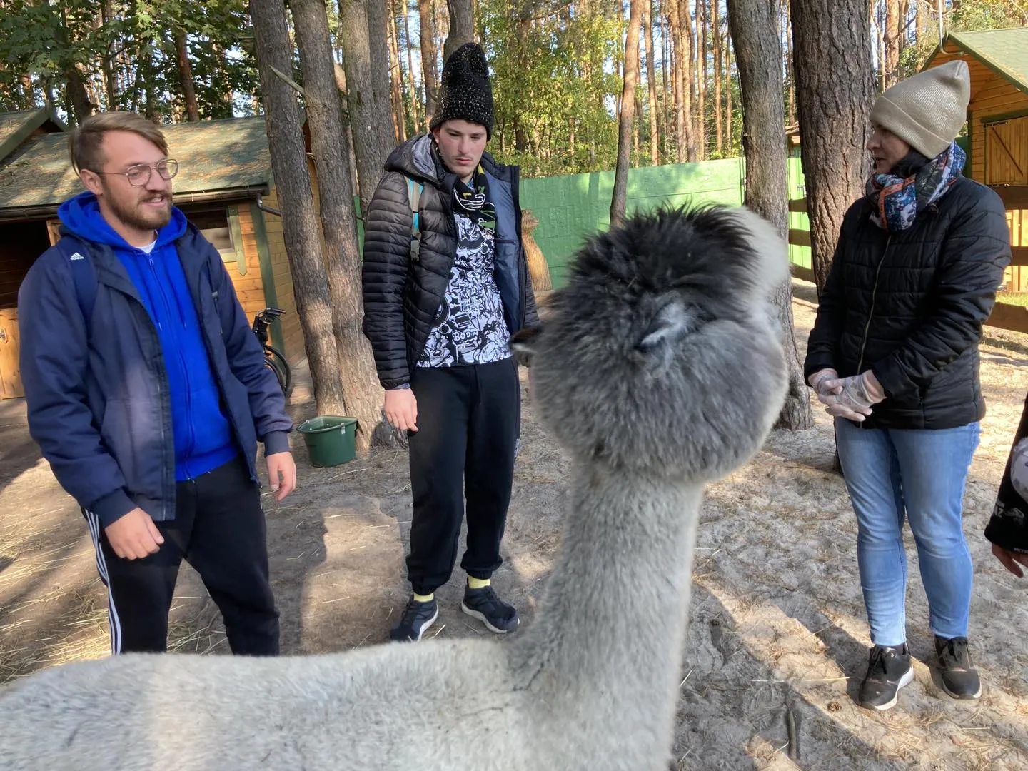 Spotkanie z alpakami
