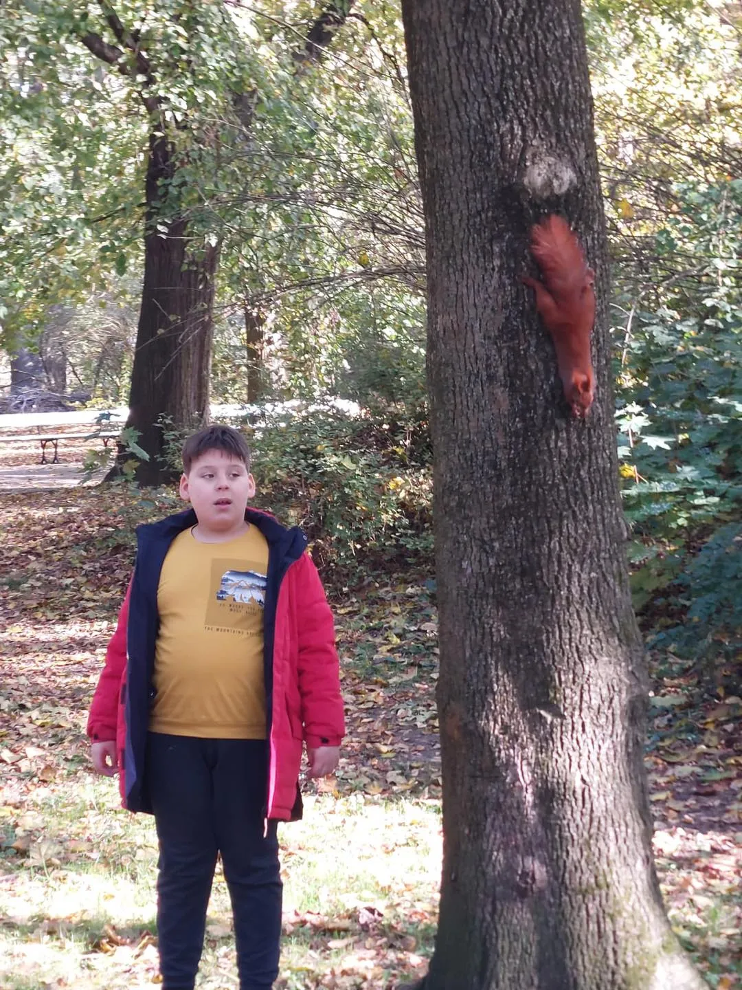 Polska Złota Jasień w Parku Skaryszewskim