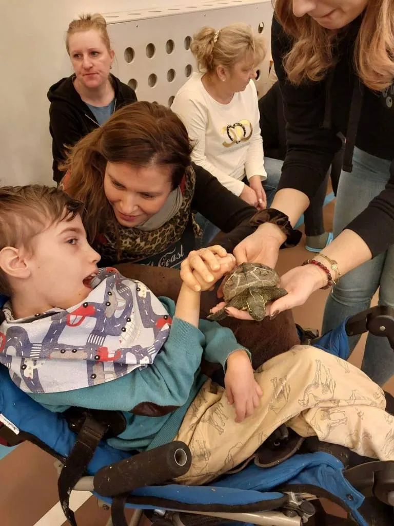 Egzotyczne zwierzęta