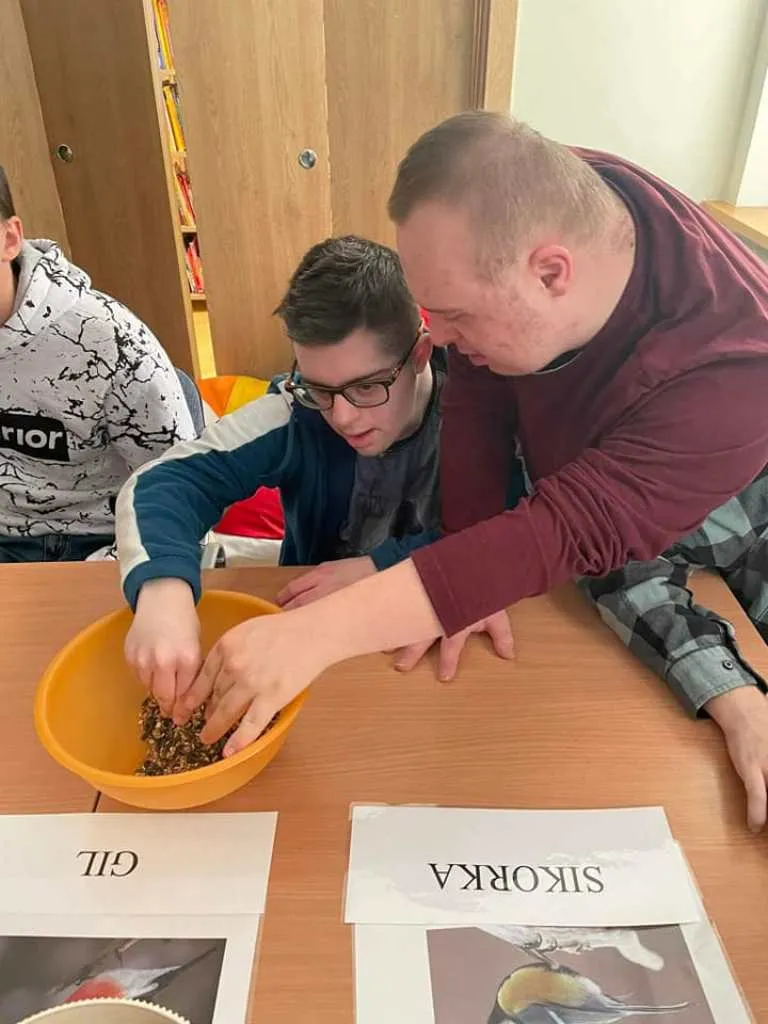 Dokarmiamy ptaki zimą