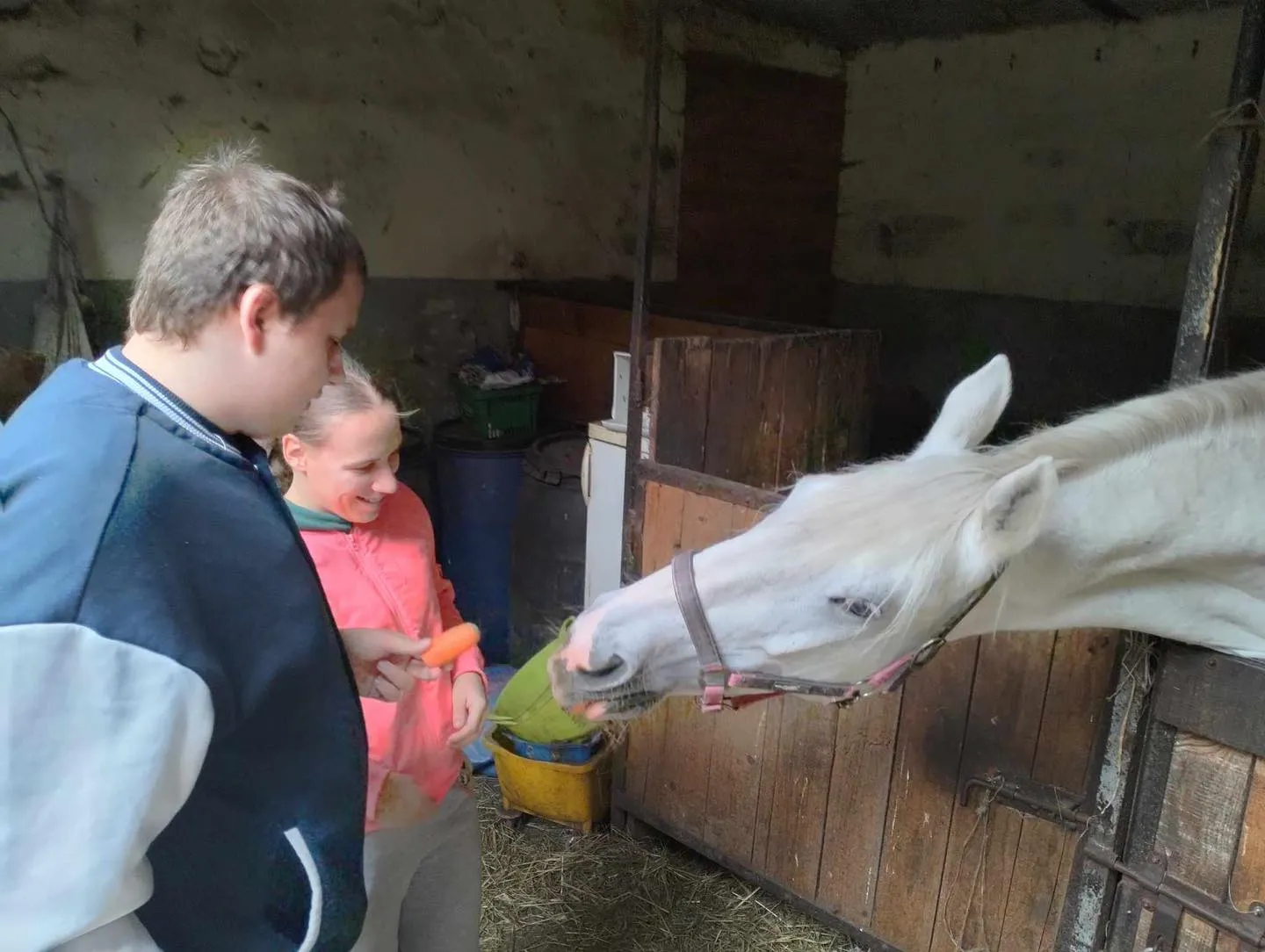 Wizyta w stajni Jackowo