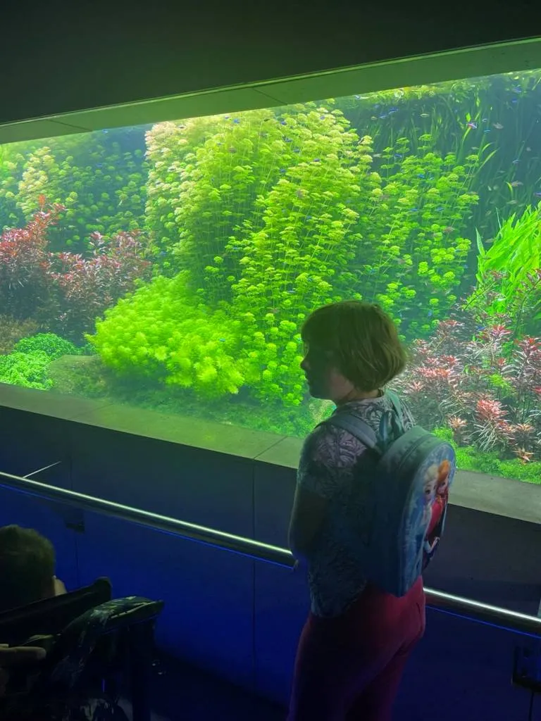 Wizyta w ogrodzie zoologicznym