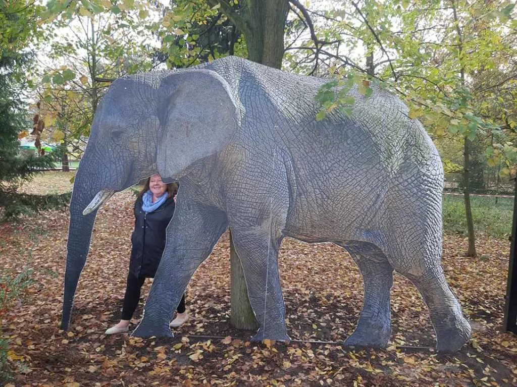 Wizyta w ogrodzie zoologicznym