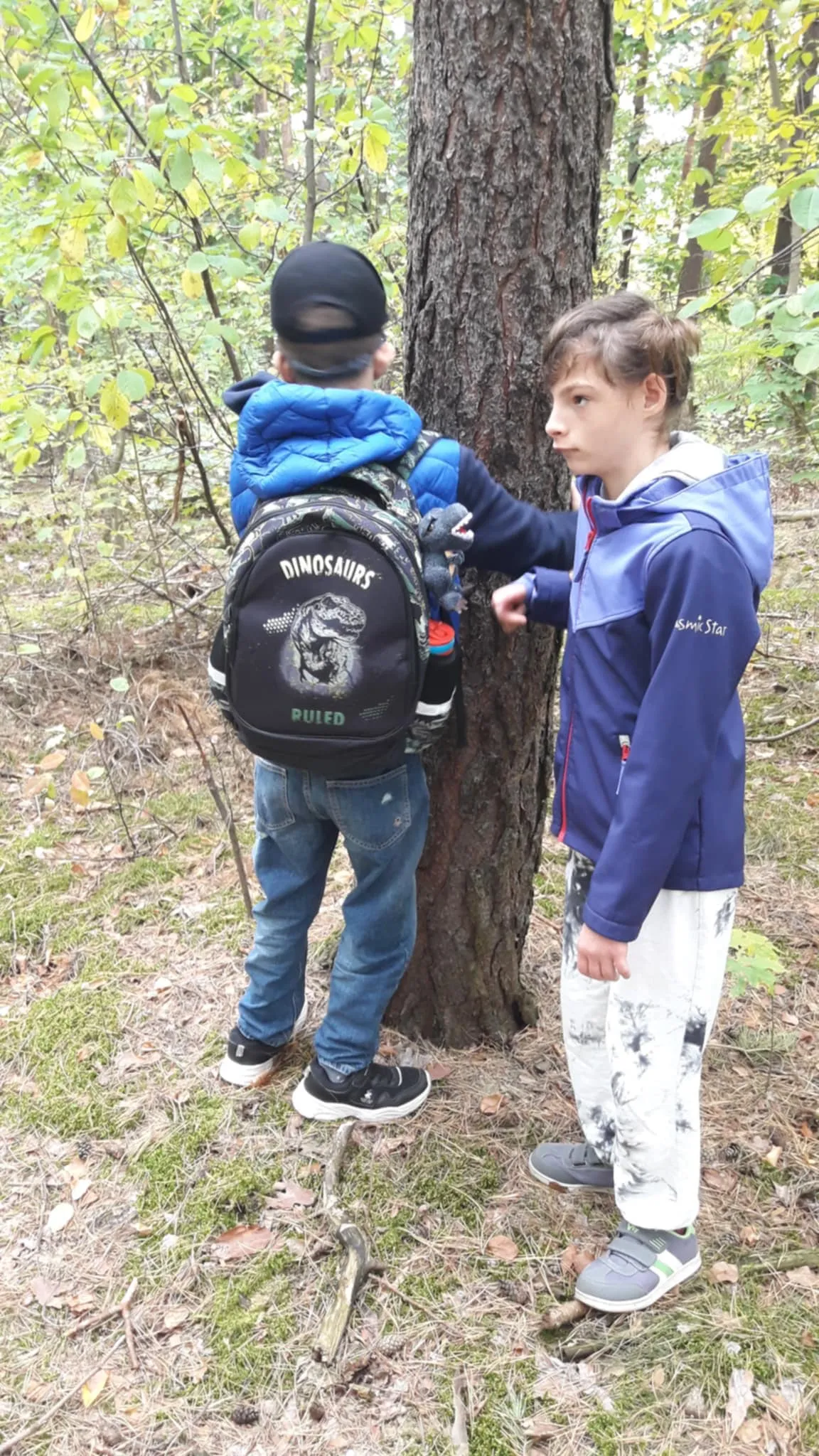 Światowy Dzień Drzewa