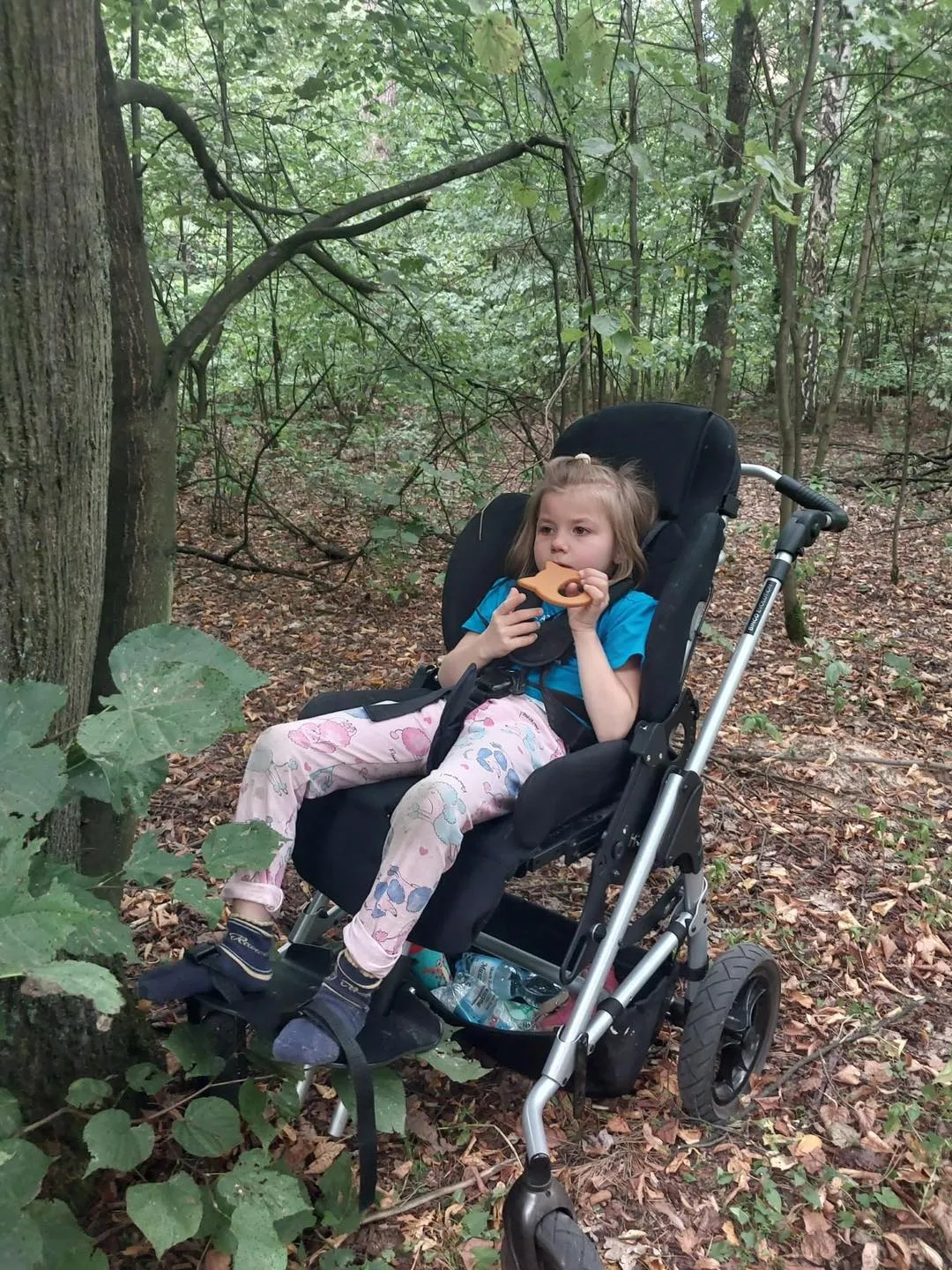 Przytul się do drzewa