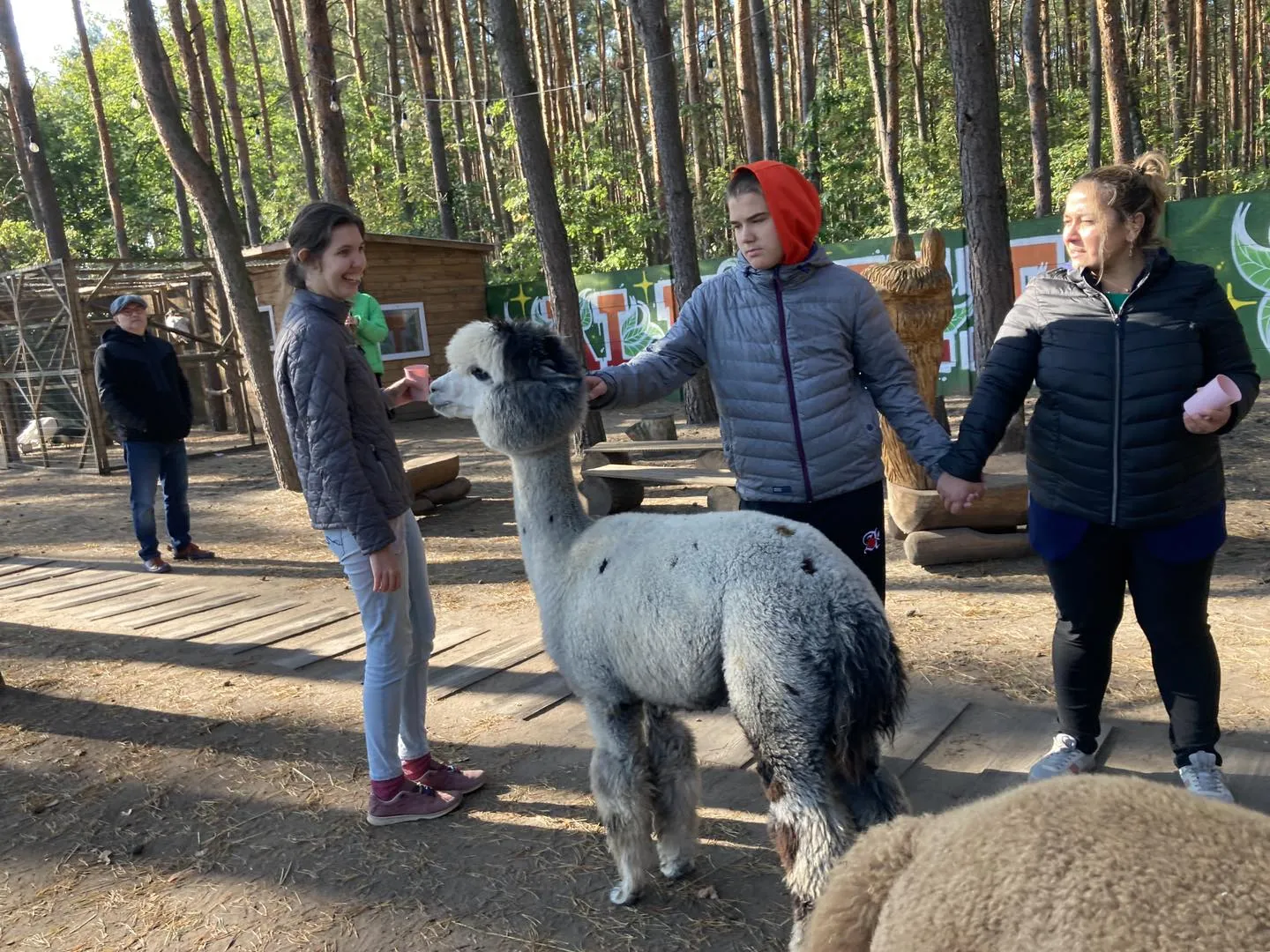 Spotkanie z alpakami